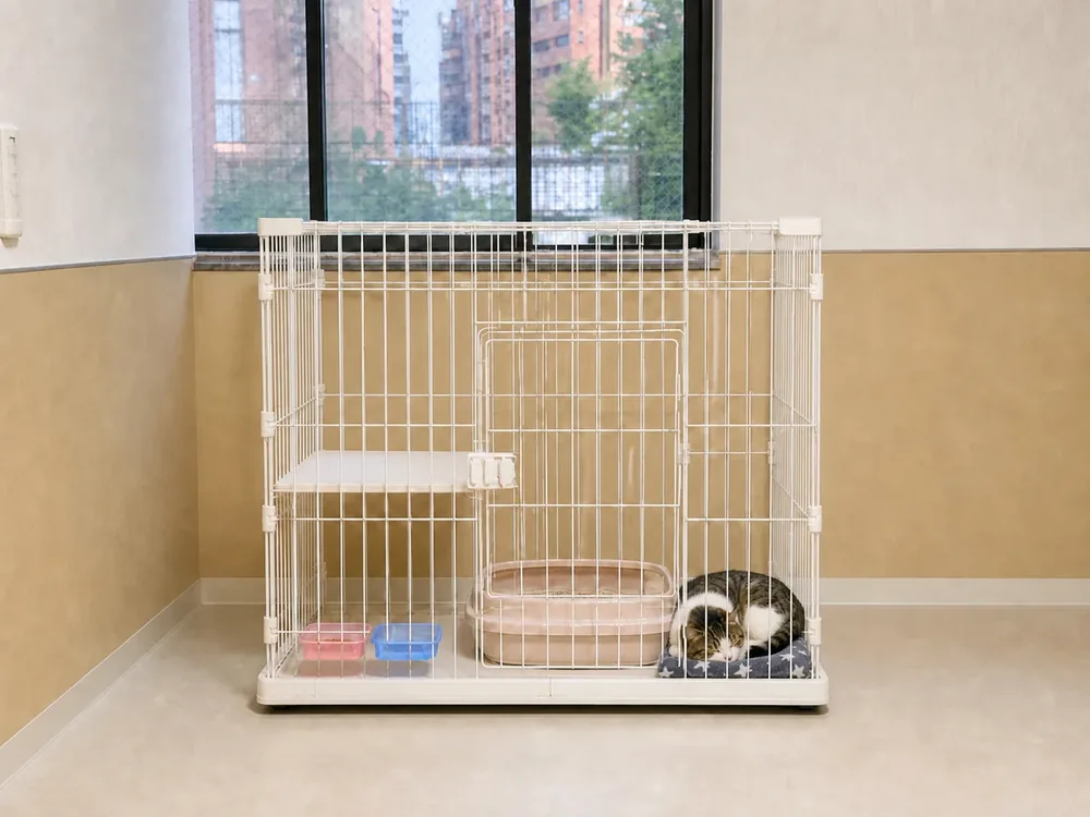 猫専用ペットホテルの通常ケージで休む猫